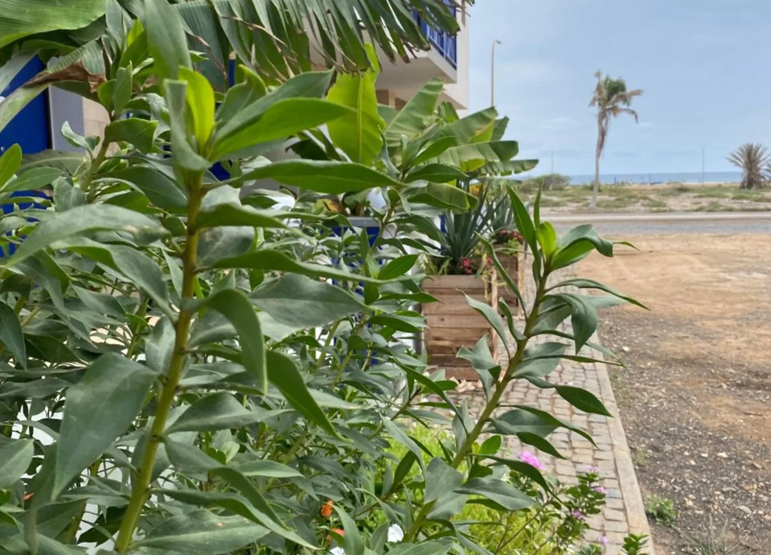 Casa Branca Beach Santa Maria Apartment